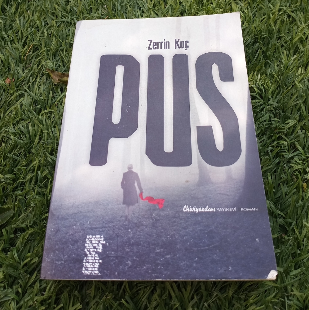 turkish pus book